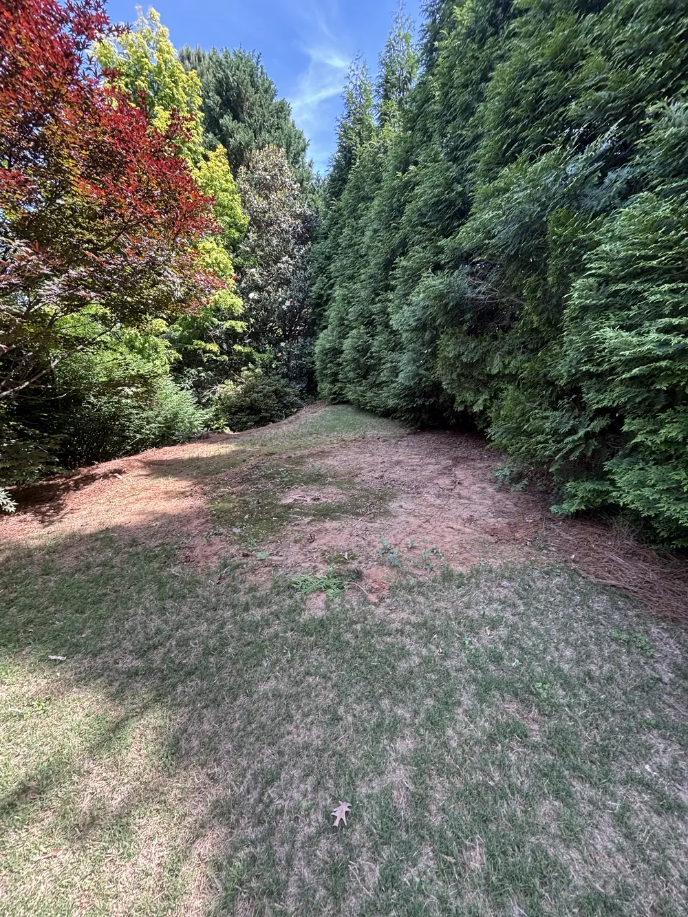 The same spot in the yard after the trampoline was removed